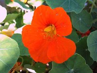 photos 2000-200902728